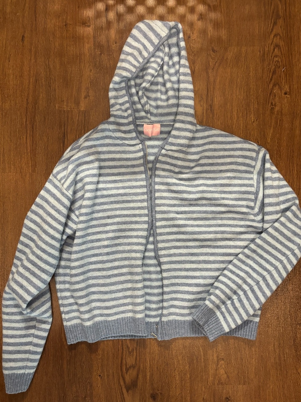Striped Hooded Zip Sweater - Light Blue & Cream
